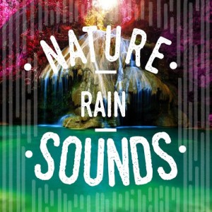 ดาวน์โหลดและฟังเพลง Downpour on the Patio พร้อมเนื้อเพลงจาก Nature Rain Sounds