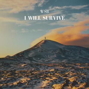 อัลบัม I Will Survive ศิลปิน Wsb