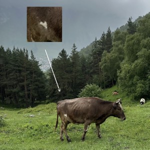 Album времени from iskrit