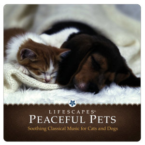 ดาวน์โหลดและฟังเพลง Caro Mio Ben พร้อมเนื้อเพลงจาก Adi Yeshaya