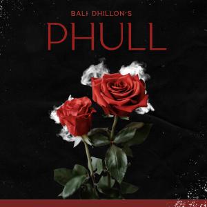 收聽Bali Dhillon的Phull歌詞歌曲