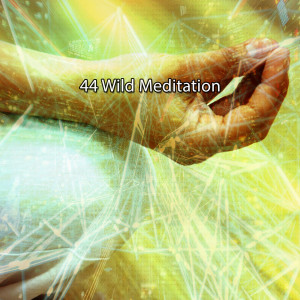Album 44 Wild Meditation from Meditation Spa