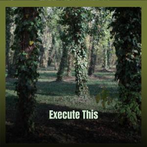 收听Catia Niks的Execute This歌词歌曲