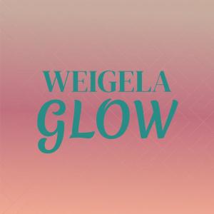 Album Weigela Glow oleh Various