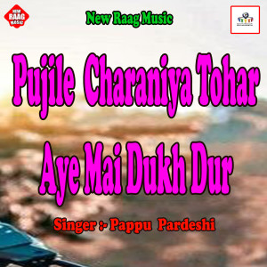 收听Pappu Pardeshi的Pujile Charaniya Tohar Aye Mai Dukh Dur歌词歌曲