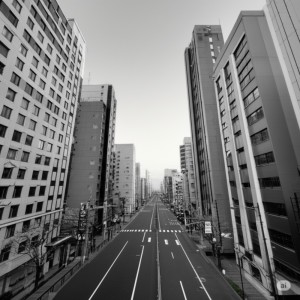 Listen to The city streets that became monochrome. (feat. HATSUNE MIKU) song with lyrics from T.M.