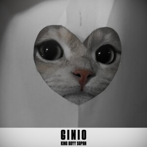 King Boyy SOPAN的专辑Ginio