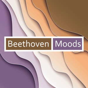 收聽Herbert Von Karajan的Beethoven: 12 Contredanses, WoO 14 - 4. Contredanse in B Major歌詞歌曲