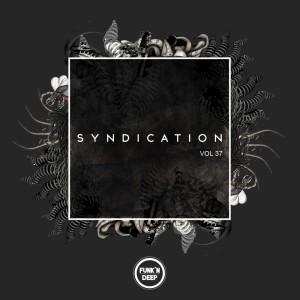 Various Artists的專輯Syndication, Vol. 37