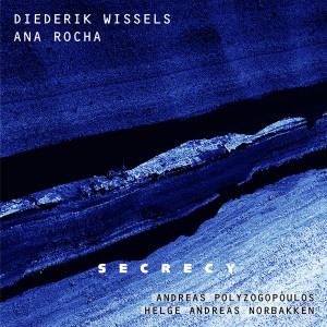 Listen to Desilusao song with lyrics from Diederik Wissels