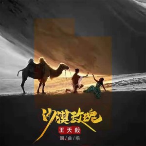 Listen to 沙漠玫瑰 (完整版) song with lyrics from 王天毅