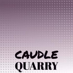 Listen to Foul Adore song with lyrics from Omed Enez