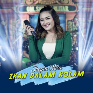 Listen to Ikan Dalam Kolam song with lyrics from Shepin MIsa