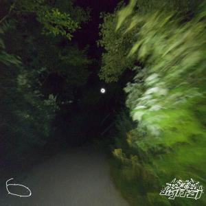 收聽DZO DIGITAL的NEWNEWNEW (feat. habiboi) (Explicit)歌詞歌曲