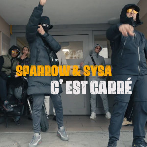 Listen to C' est Carré song with lyrics from Sparrow