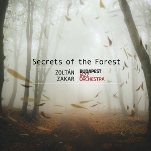 Budapest Jazz Orchestra的专辑Zoltán Zakar: Secrets of the Forest