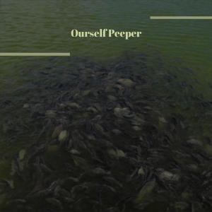 Various Artists的專輯Ourself Peeper