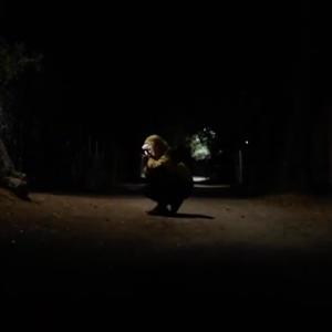 SonidoInmune的專輯Y.N.C.E.L.C (feat. BatrosBeat) [Explicit]