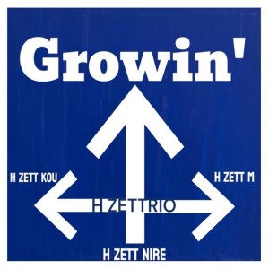 收聽HZETTRIO的Growin'歌詞歌曲