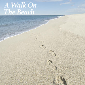 Album A Walk On The Beach oleh Various Artists