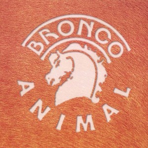 收聽Bronco的Y Eso No歌詞歌曲