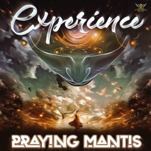 收聽Praying-Mantis的Experience歌詞歌曲