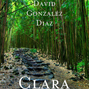 收听David González Díaz的Clara歌词歌曲