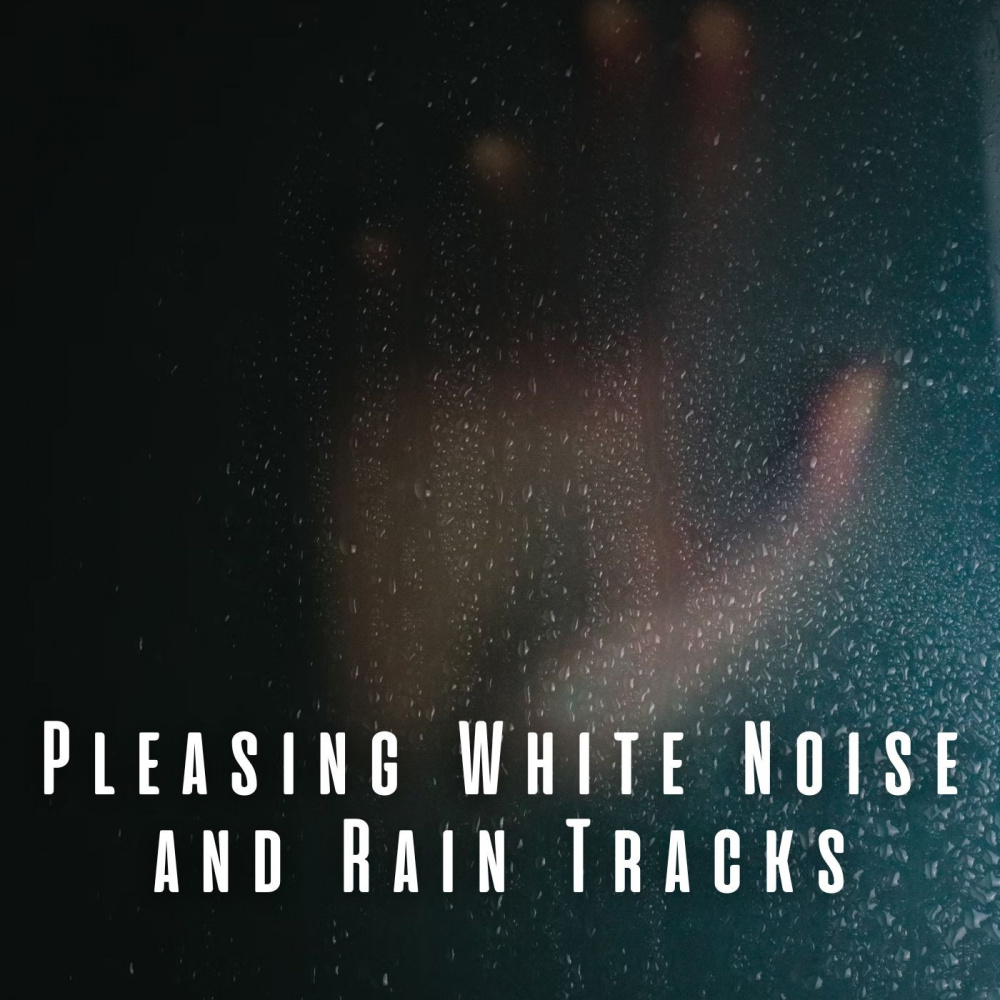 Tranquility in Sound and Rain