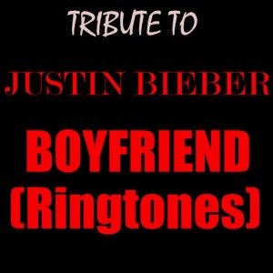 ดาวน์โหลดและฟังเพลง Tribute To Justin Bieber-Boyfriend Verse Ringtone พร้อมเนื้อเพลงจาก All Covered Up