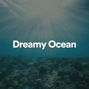 收聽Ocean Waves for Sleep的Ocean Watchable歌詞歌曲