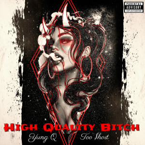 Album High Quality Bitch (Explicit) oleh Yung Q
