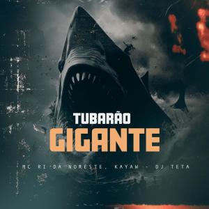 Listen to Tubarão Gigante (Explicit) song with lyrics from Mc Ri da Noroeste
