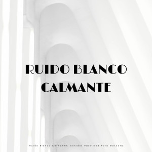 Album Ruido Blanco Calmante: Sonidos Pacíficos Para Mascota oleh Ruido blanco de 500 Hz