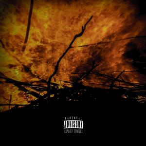 Listen to V I L L A I N (feat. Tadré Wockhardt) (Explicit) song with lyrics from Sxan