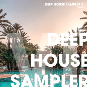 Album Deep House Sampler VI from Group Star