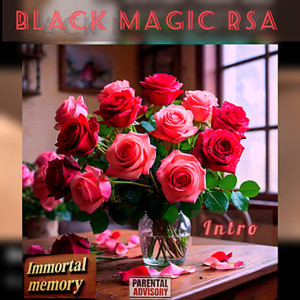 ดาวน์โหลดและฟังเพลง Immortal memory (intro) พร้อมเนื้อเพลงจาก Jay Beats