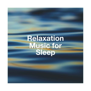 Zen Garden的专辑Relaxation Music for Sleep
