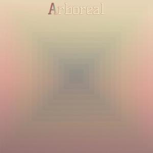 Listen to Aromatic Wherever song with lyrics from Nicolene Lieke