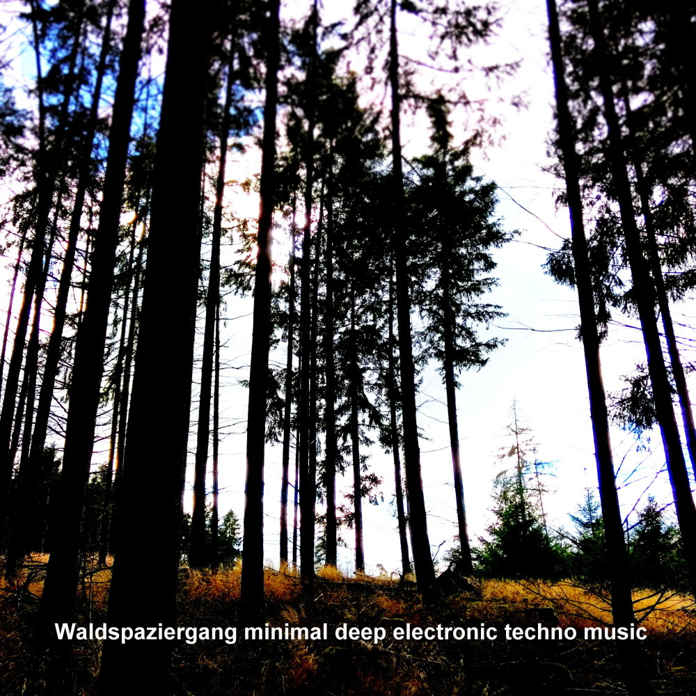 Running With The Wolves (Berlin Minimal Underground Remix)