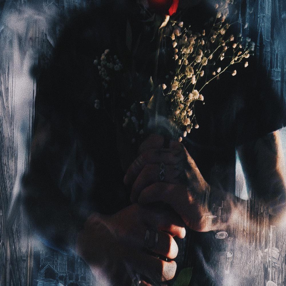 Wilted Rose