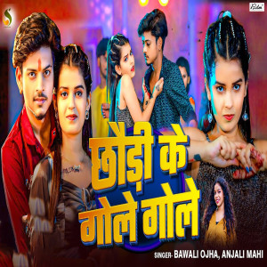 Listen to Chhaudi Ke Gole Gole song with lyrics from Bawali Ojha