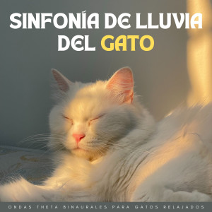 Album Sinfonía De Lluvia Del Gato: Ondas Theta Binaurales Para Gatos Relajados oleh The Unexplainable Store