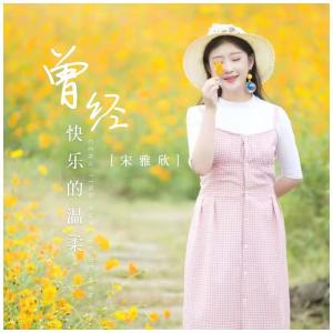 Listen to 曾经快乐的温柔 (DJ版伴奏) song with lyrics from 宋雅欣