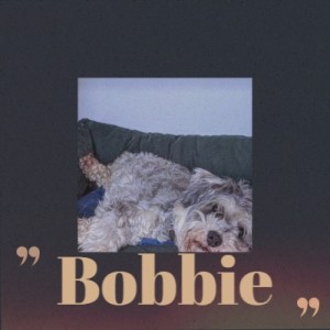 收聽Duane Eddy的Bobbie歌詞歌曲