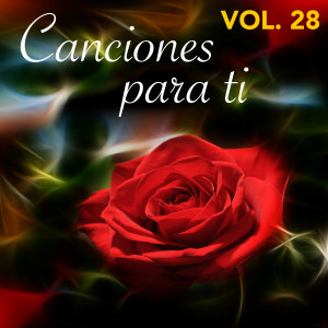 Album Canciones para Ti (Vol. 28) from Various Artists