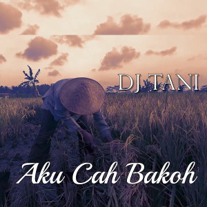收聽DJ TANI的Aku Cah Bakoh歌詞歌曲