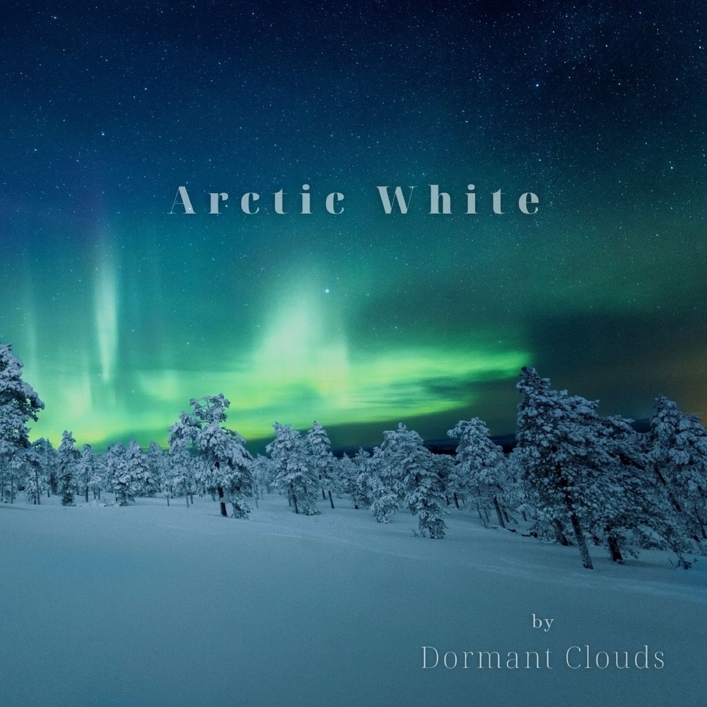 Arctic White (Seamless)