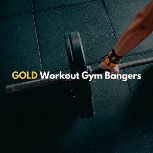 Various的專輯GOLD Workout Gym Bangers (Explicit)