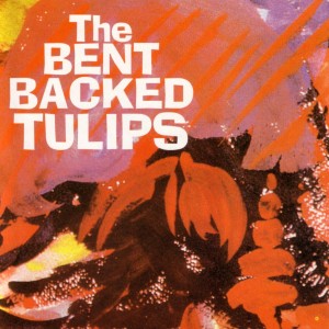 ดาวน์โหลดและฟังเพลง Tie Me Down พร้อมเนื้อเพลงจาก The Bent Backed Tulips