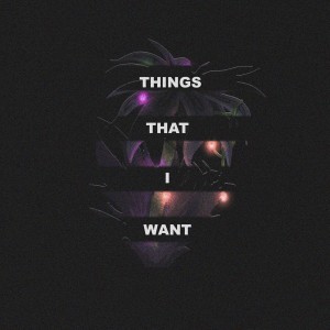Things that i want (Explicit)